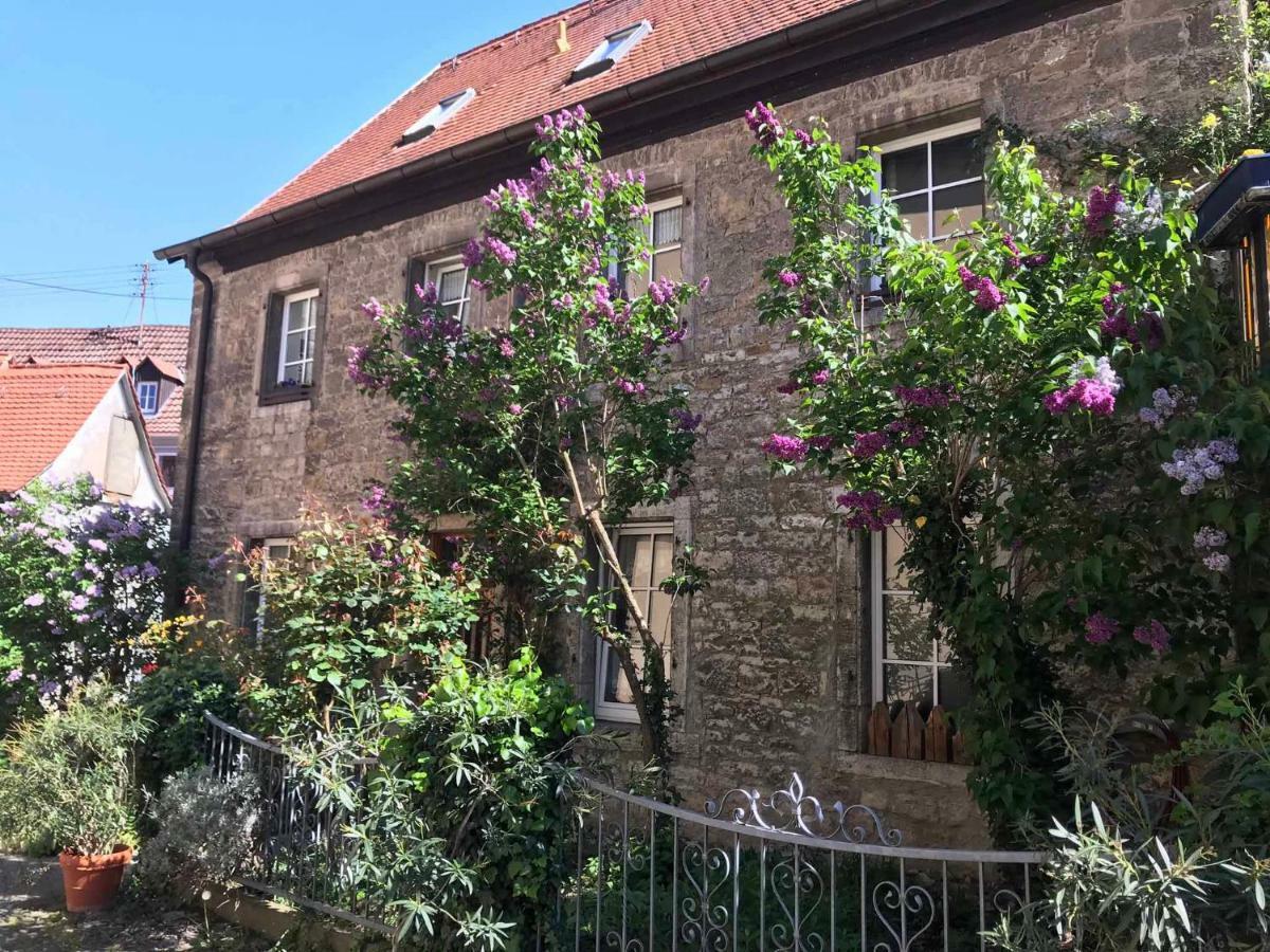 Ferienwohnung Am Weinberg Randersacker Esterno foto